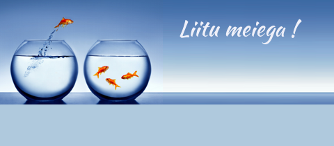 liitu-meiega