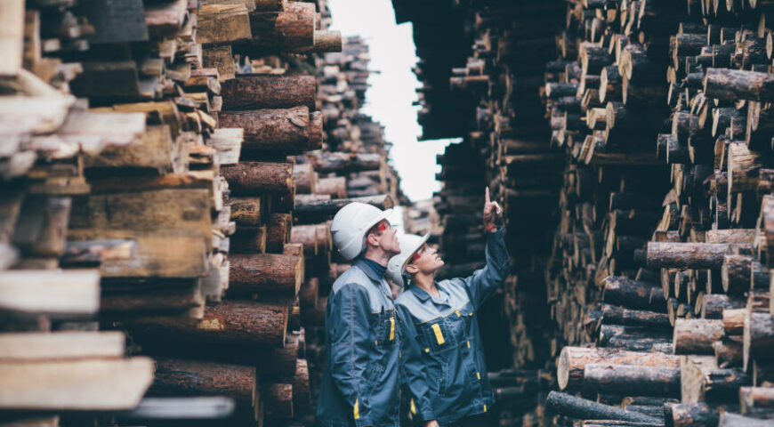 Eesti teadlased hakkavad puidust plastmassi tootma